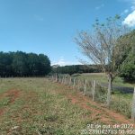 Santa Fé do Sul (SP)