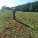 Santa Fé do Sul (SP)