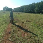 Santa Fé do Sul (SP)